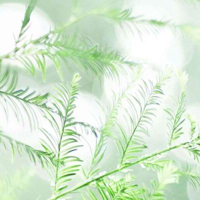 悠迅手游天命下载
