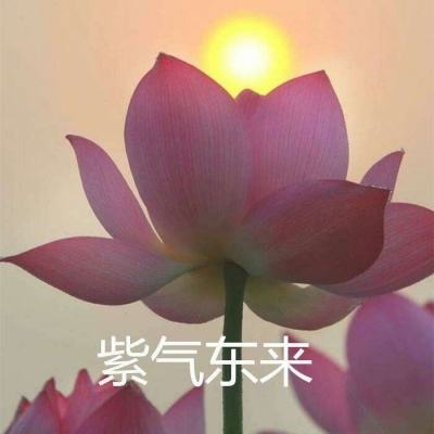 足球大师黄金一代九游客户端下载